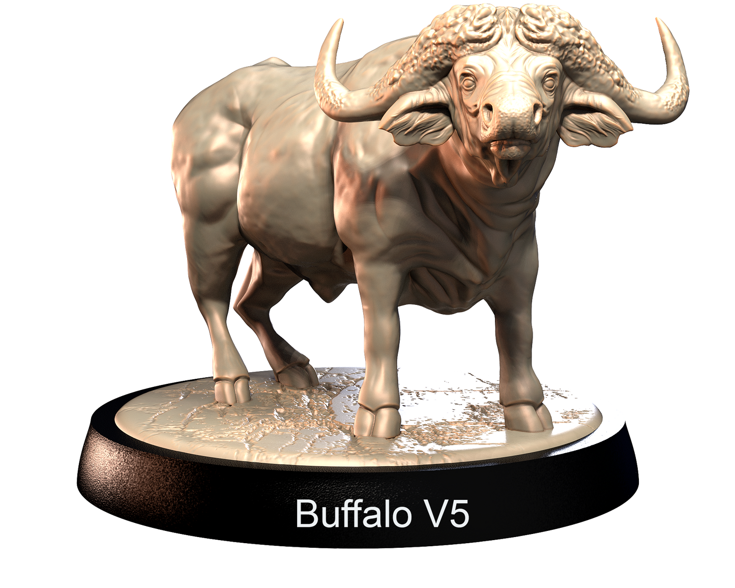 Buffalo