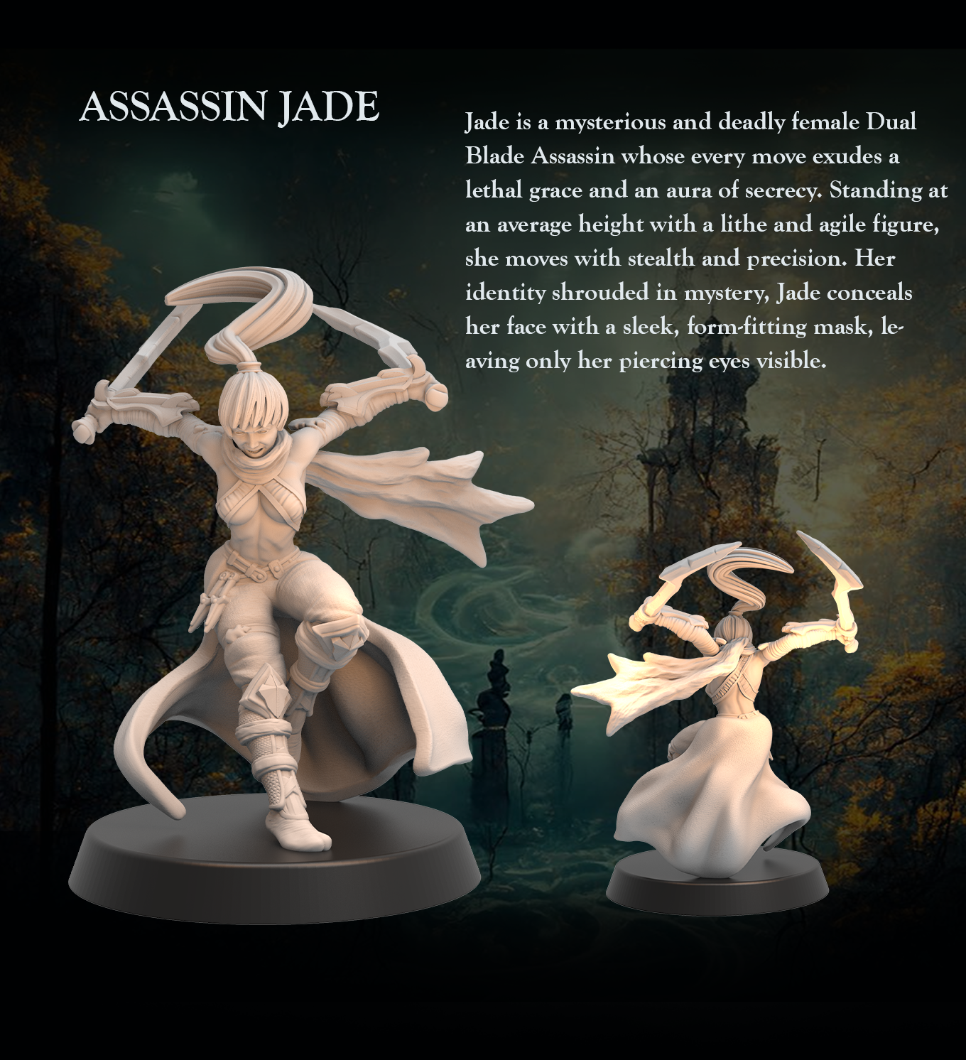 Tabletop Heroes - Jade the Assassin