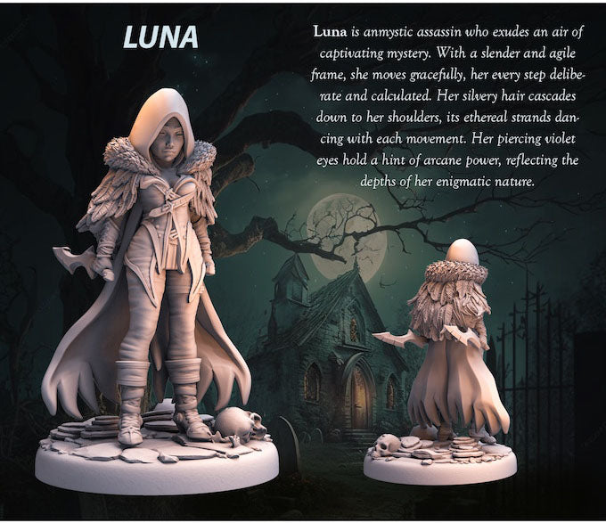 Tabletop Heroes - Luna the assassin