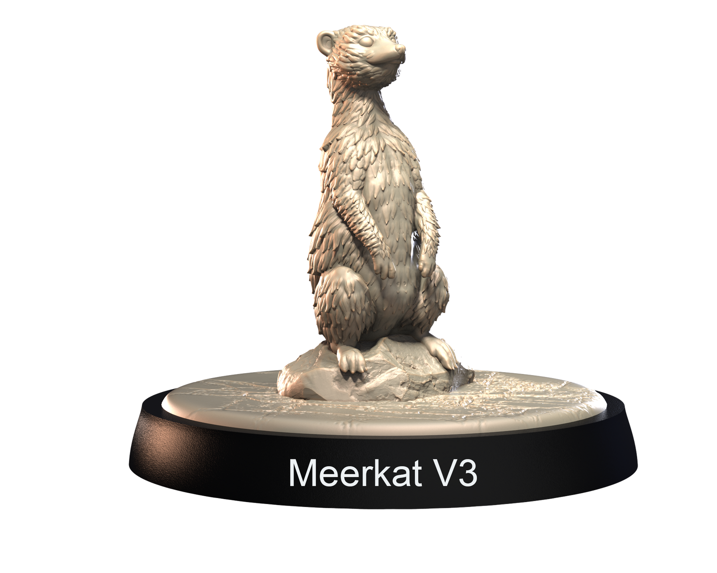Meerkats