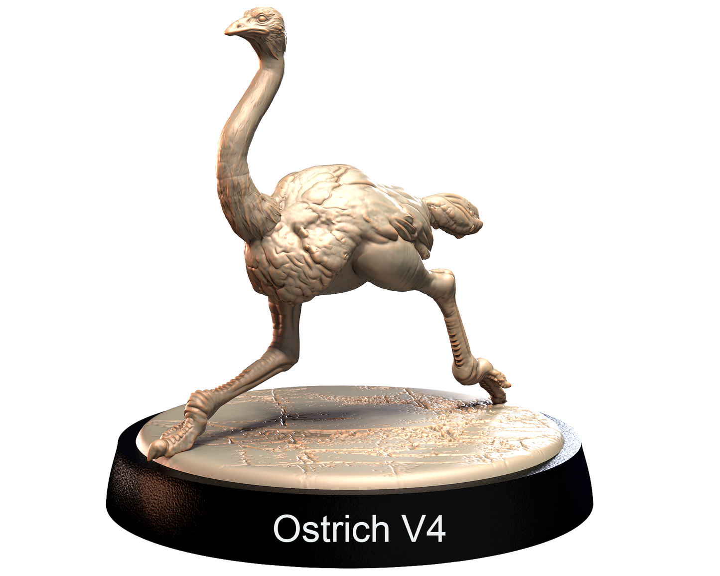 Ostrich