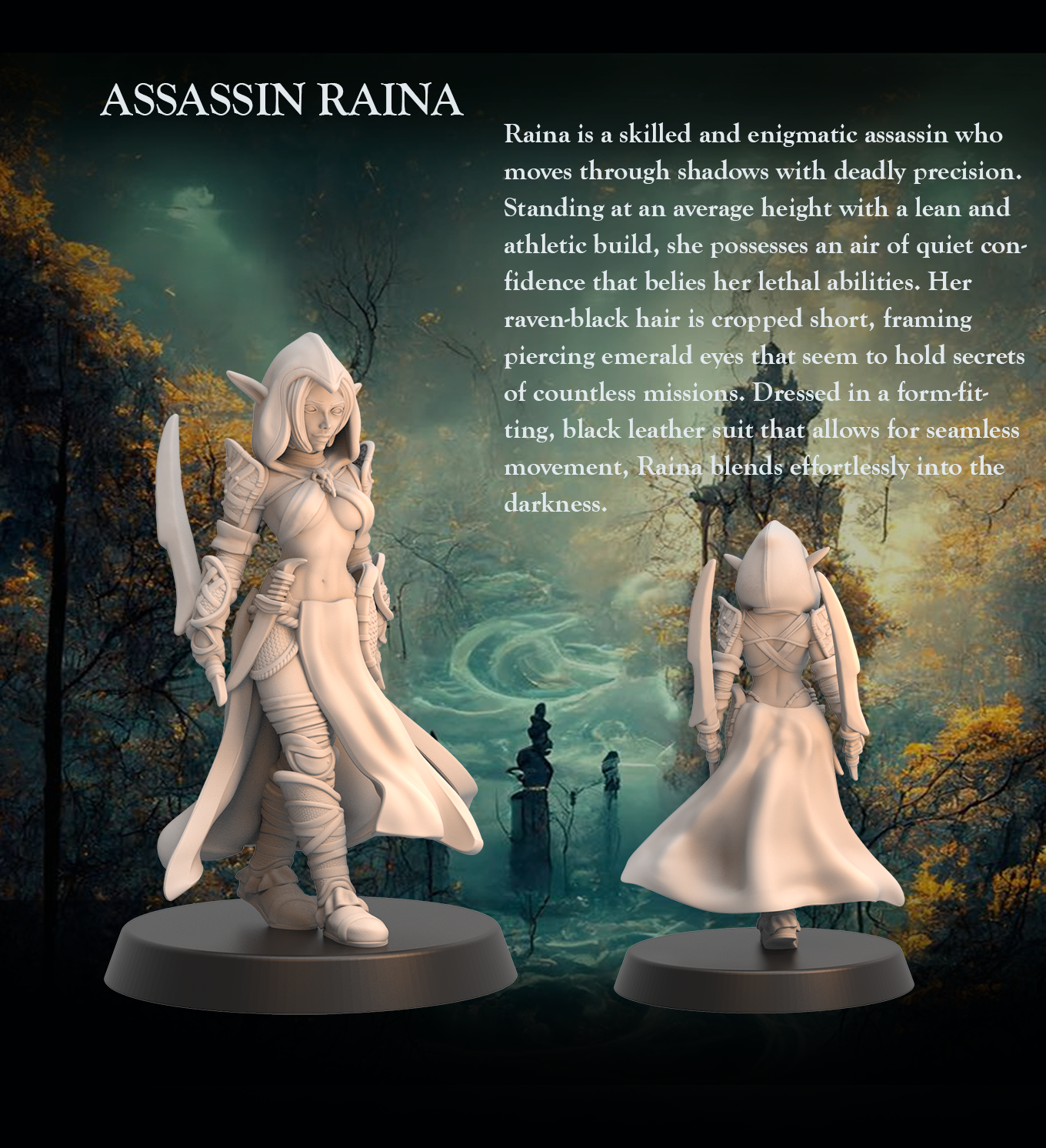 Tabletop Heroes - Raina the Assassin