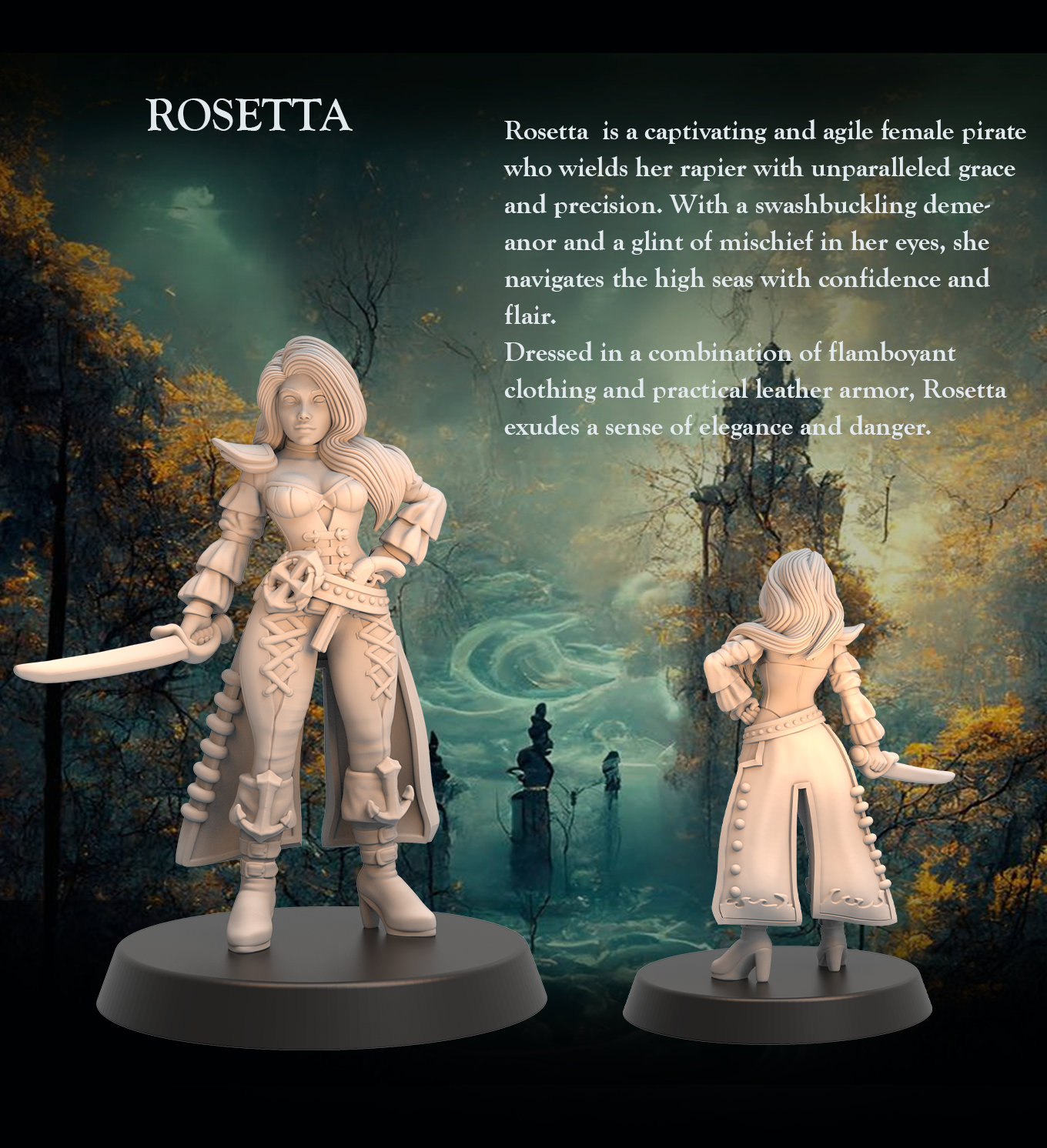 Tabletop Heroes - Rosetta the Pirate