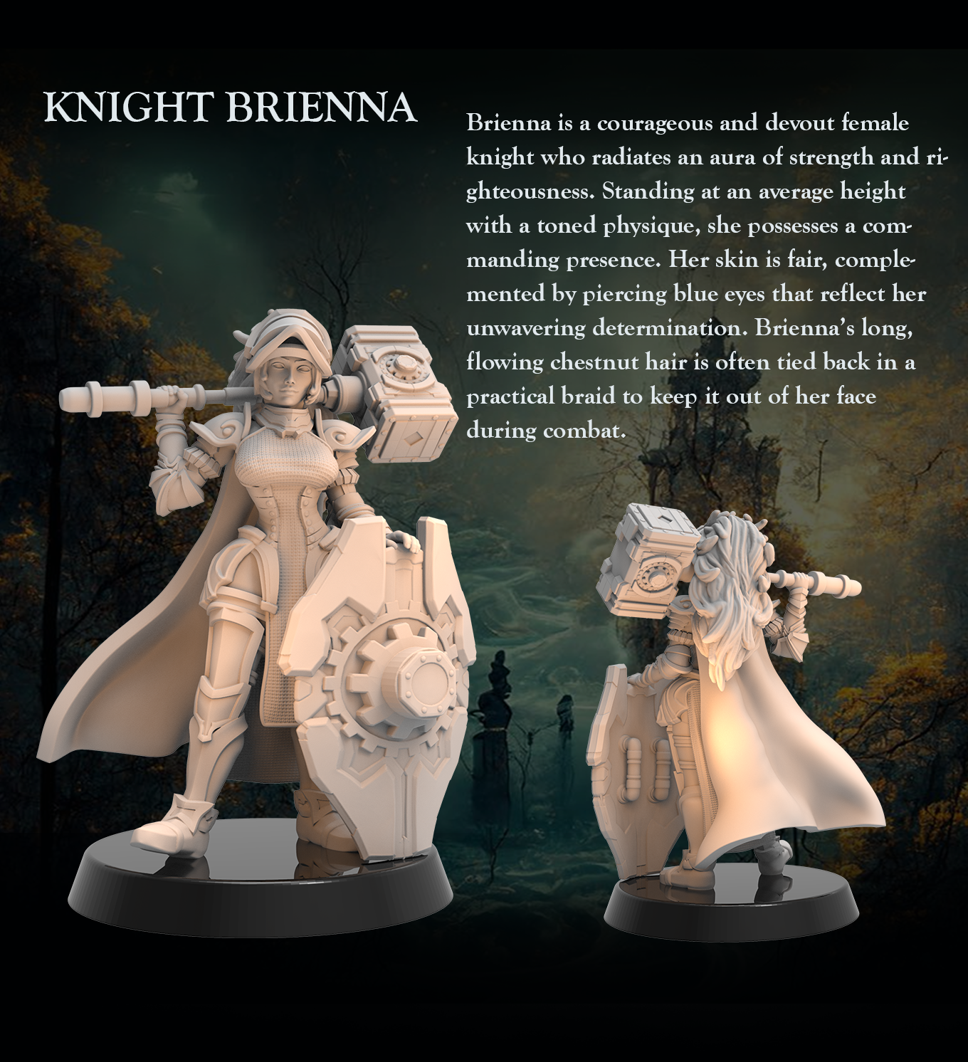 Tabletop Heroes - Brienna the Knight