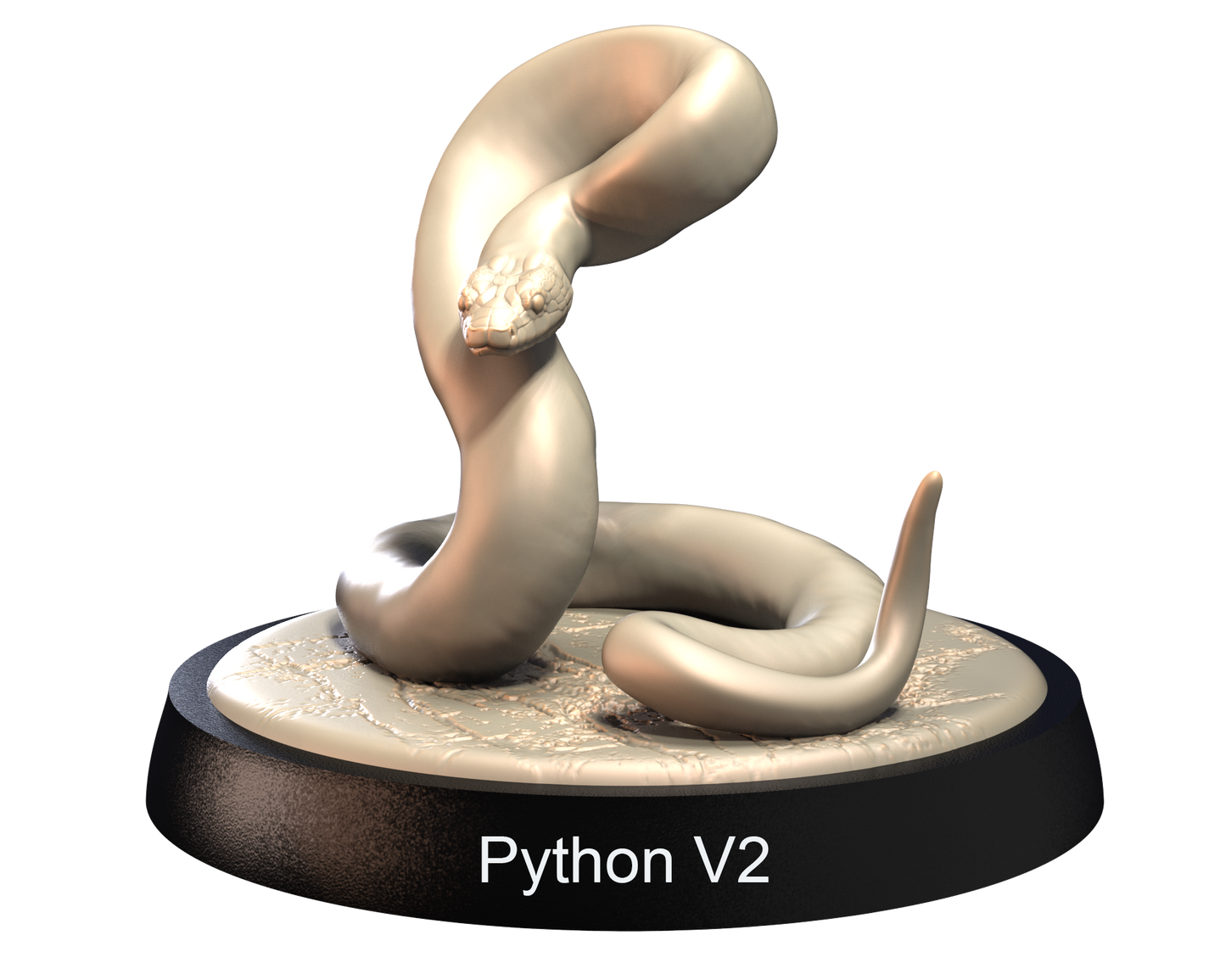 African Pythons