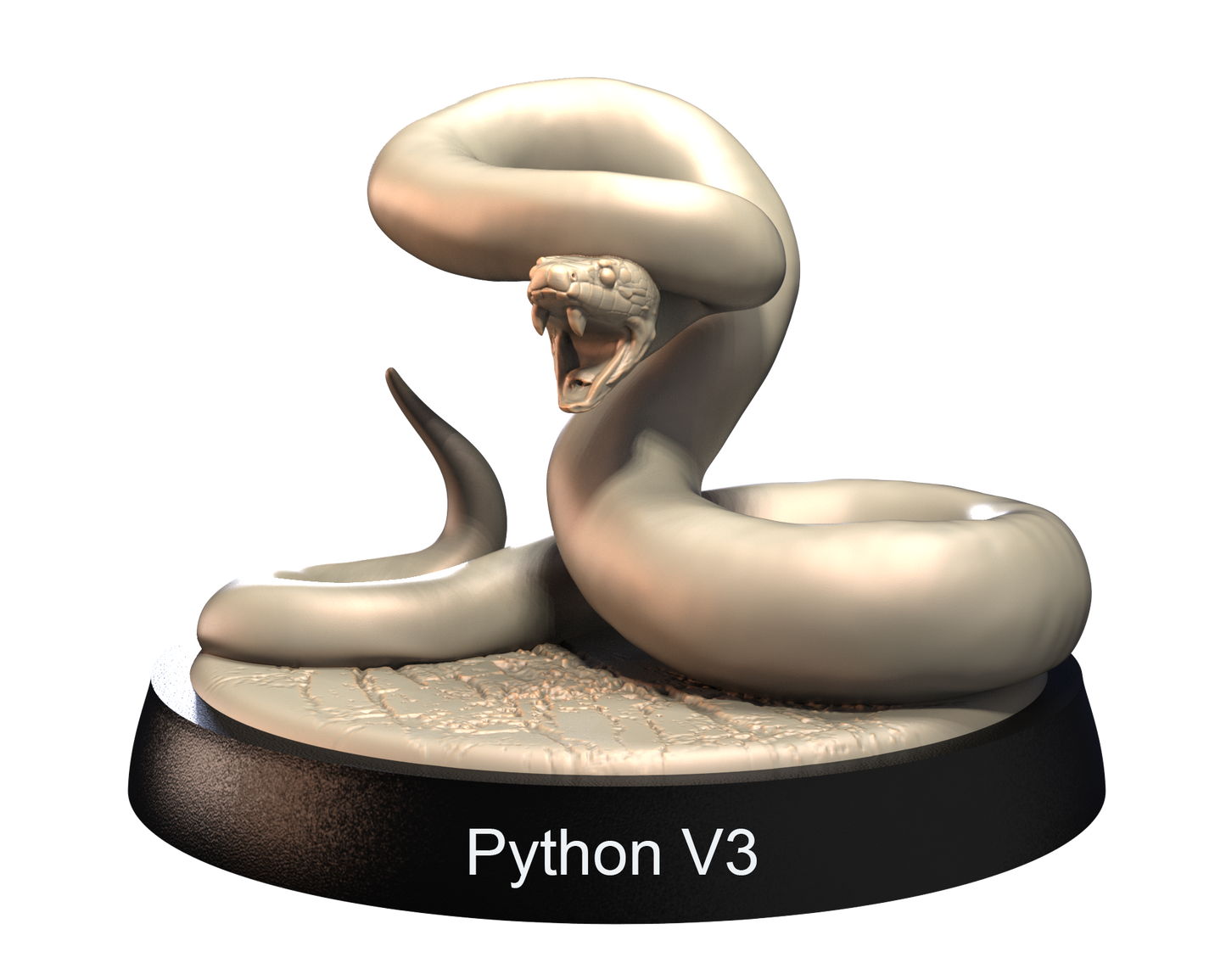 African Pythons