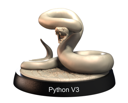 African Pythons
