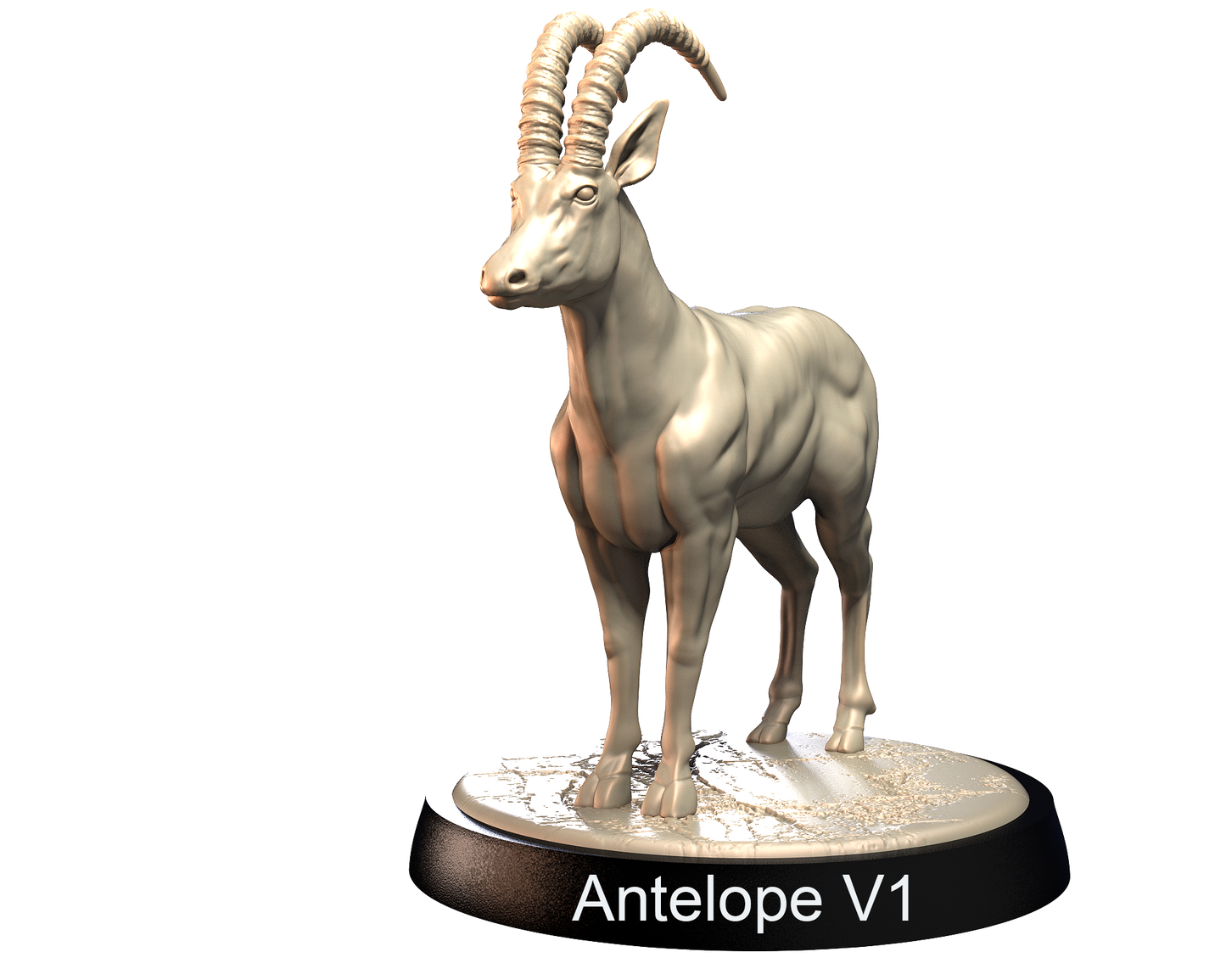Antelopes