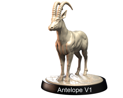 Antelopes
