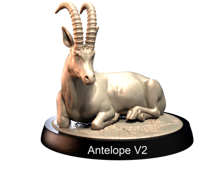 Antelopes