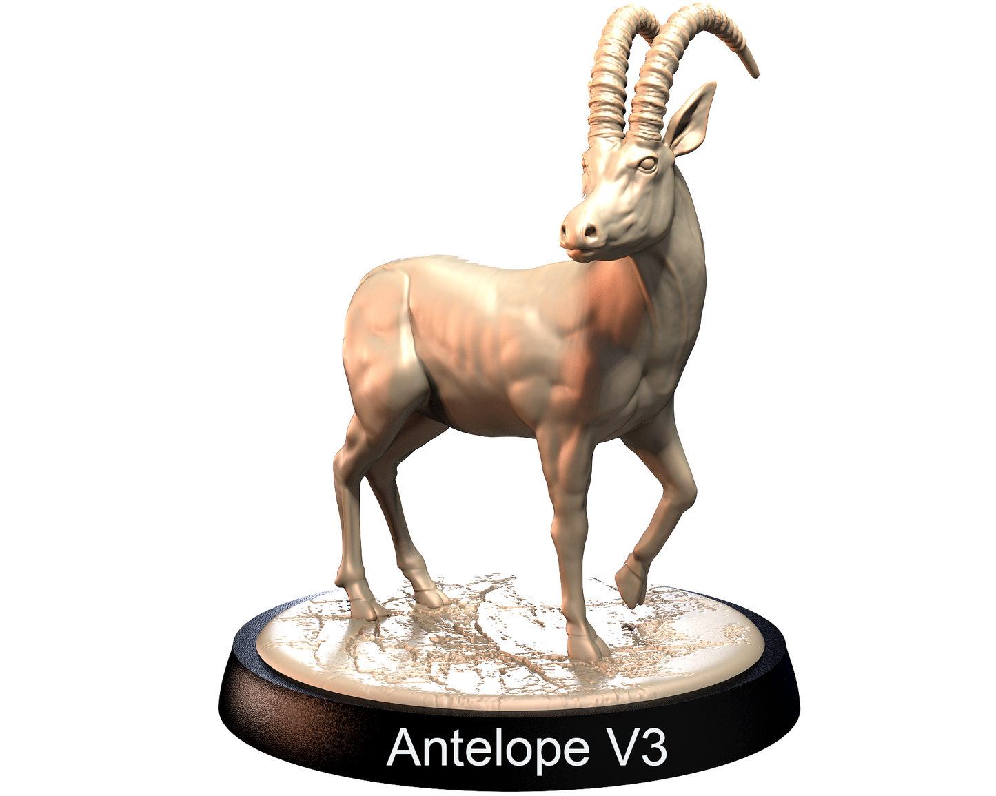 Antelopes