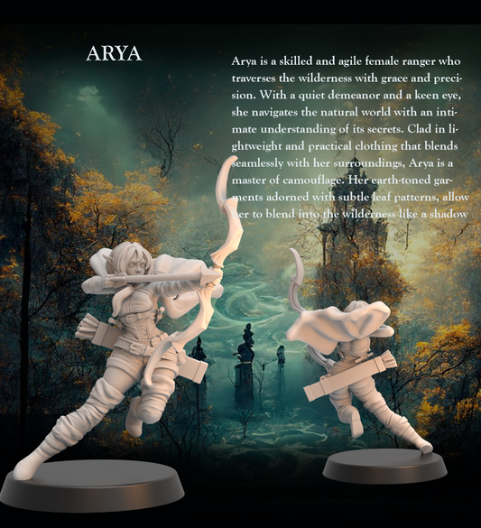 Tabletop Heroes - Arya yhe Archer