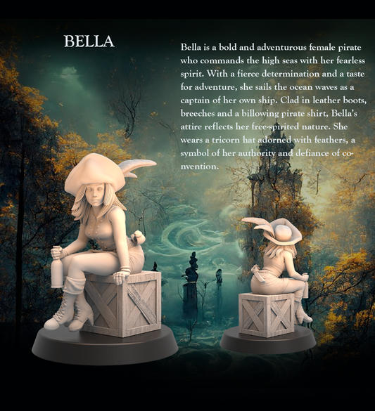 Tabletop Heroes - Bella the Pirate