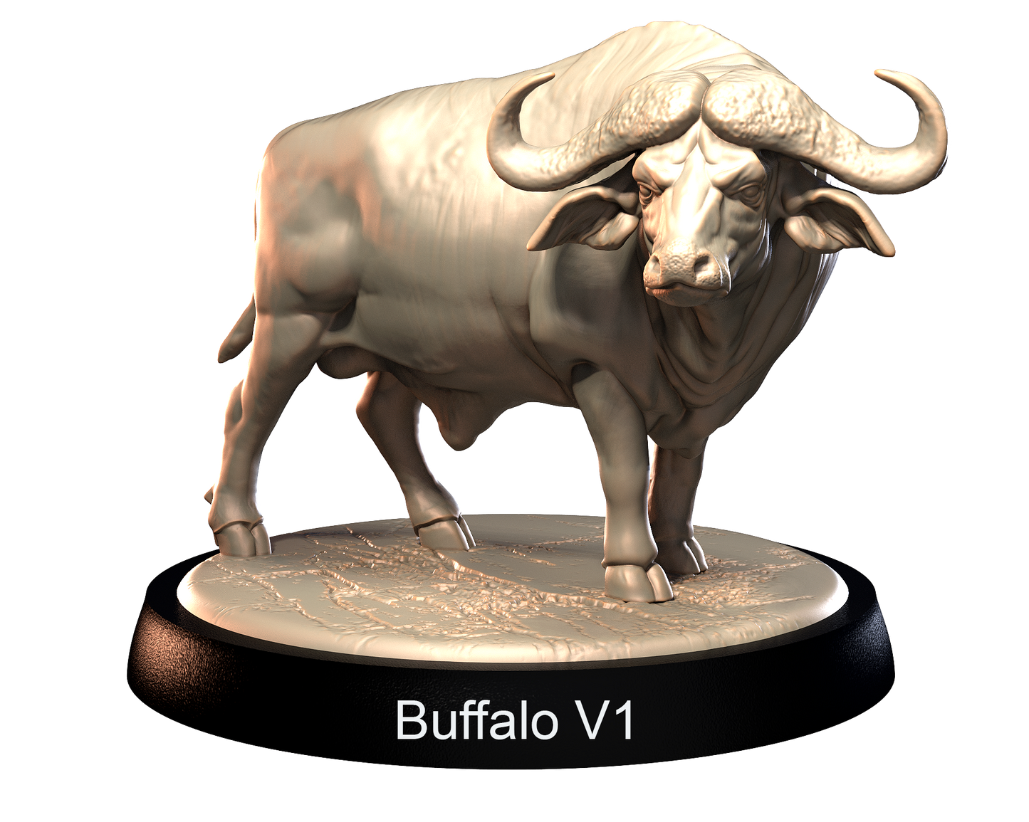 Buffalo