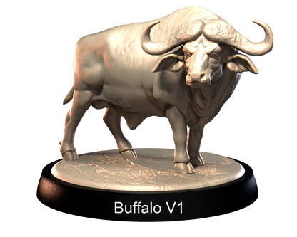 Buffalo
