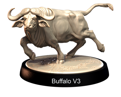 Buffalo