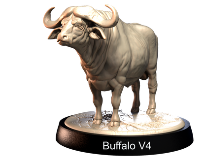 Buffalo
