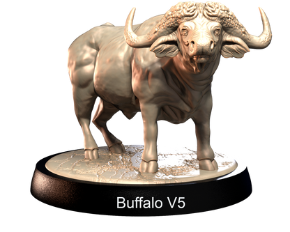 Buffalo