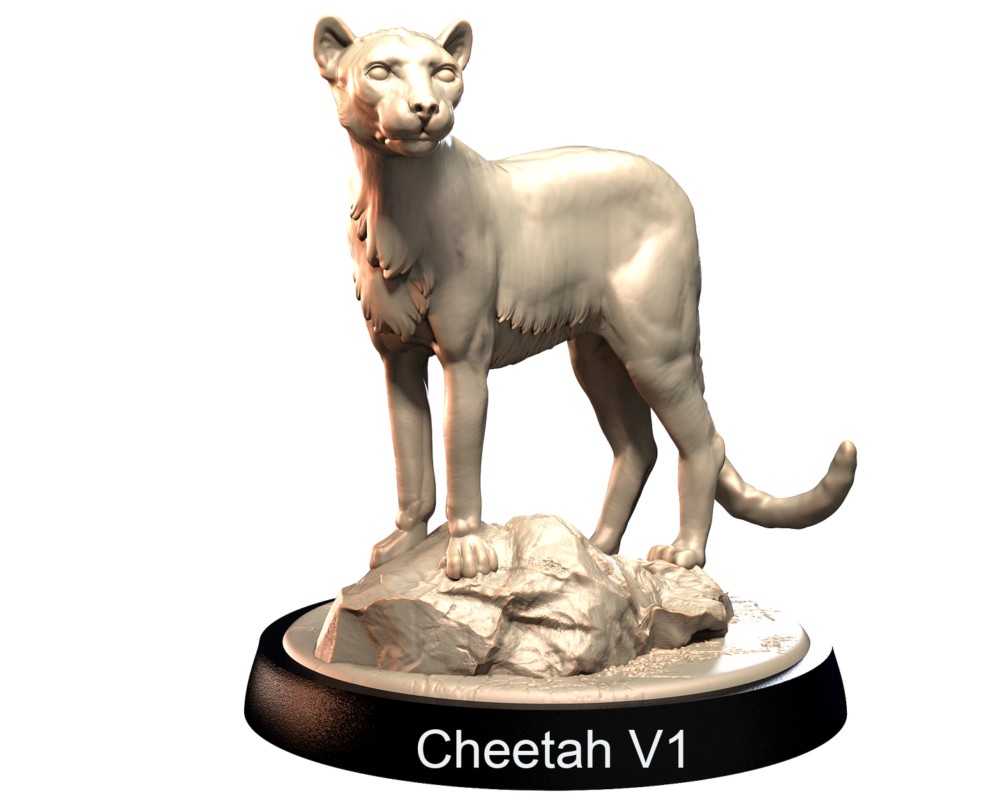 Cheetahs