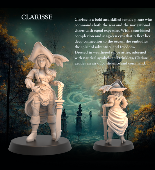 Tabletop Heroes - Clarisse the Pirate
