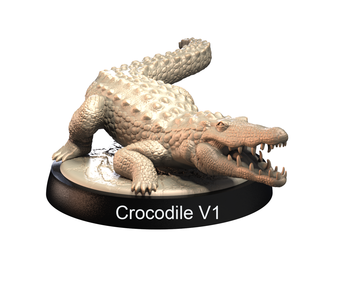 Crocodiles