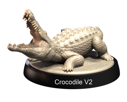 Crocodiles
