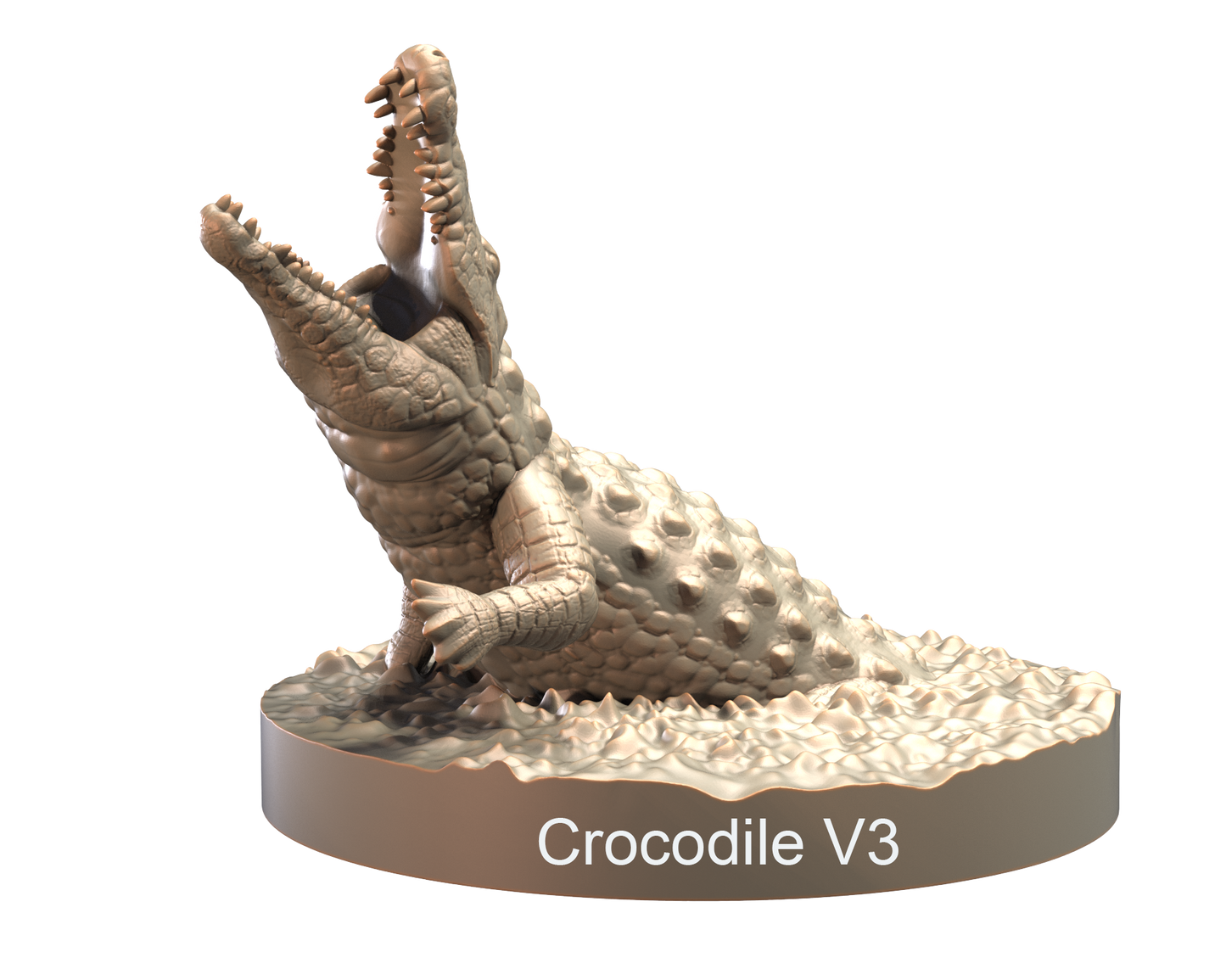 Crocodiles