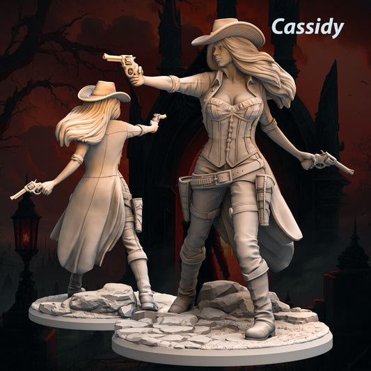 Tabletop Heroes - Cassidy
