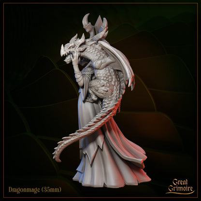 Wingforge - Dragonmage