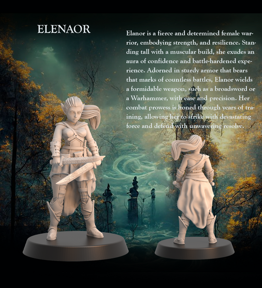 Tabletop Heroes - Elanor the Warrior