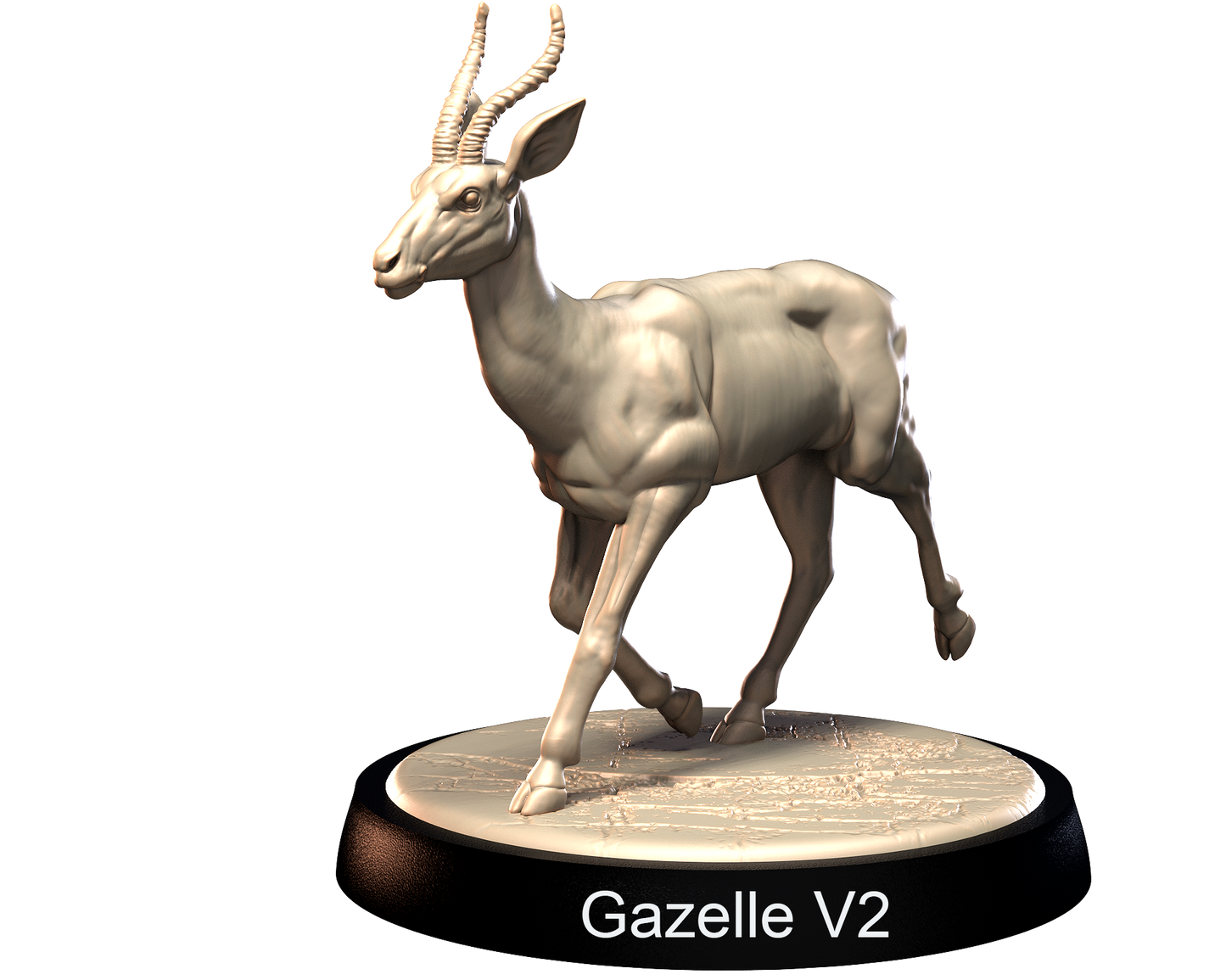 Gazelles