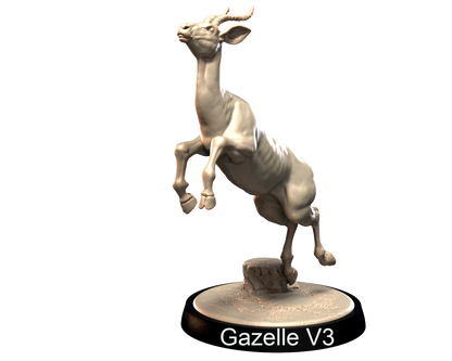 Gazelles