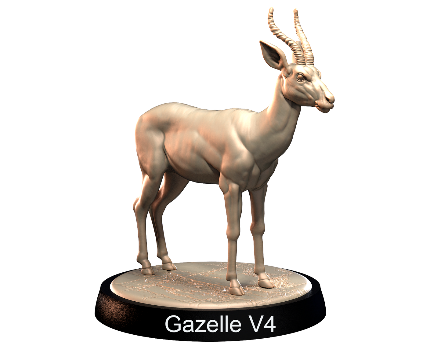 Gazelles
