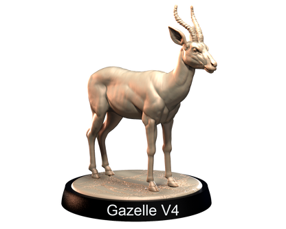 Gazelles