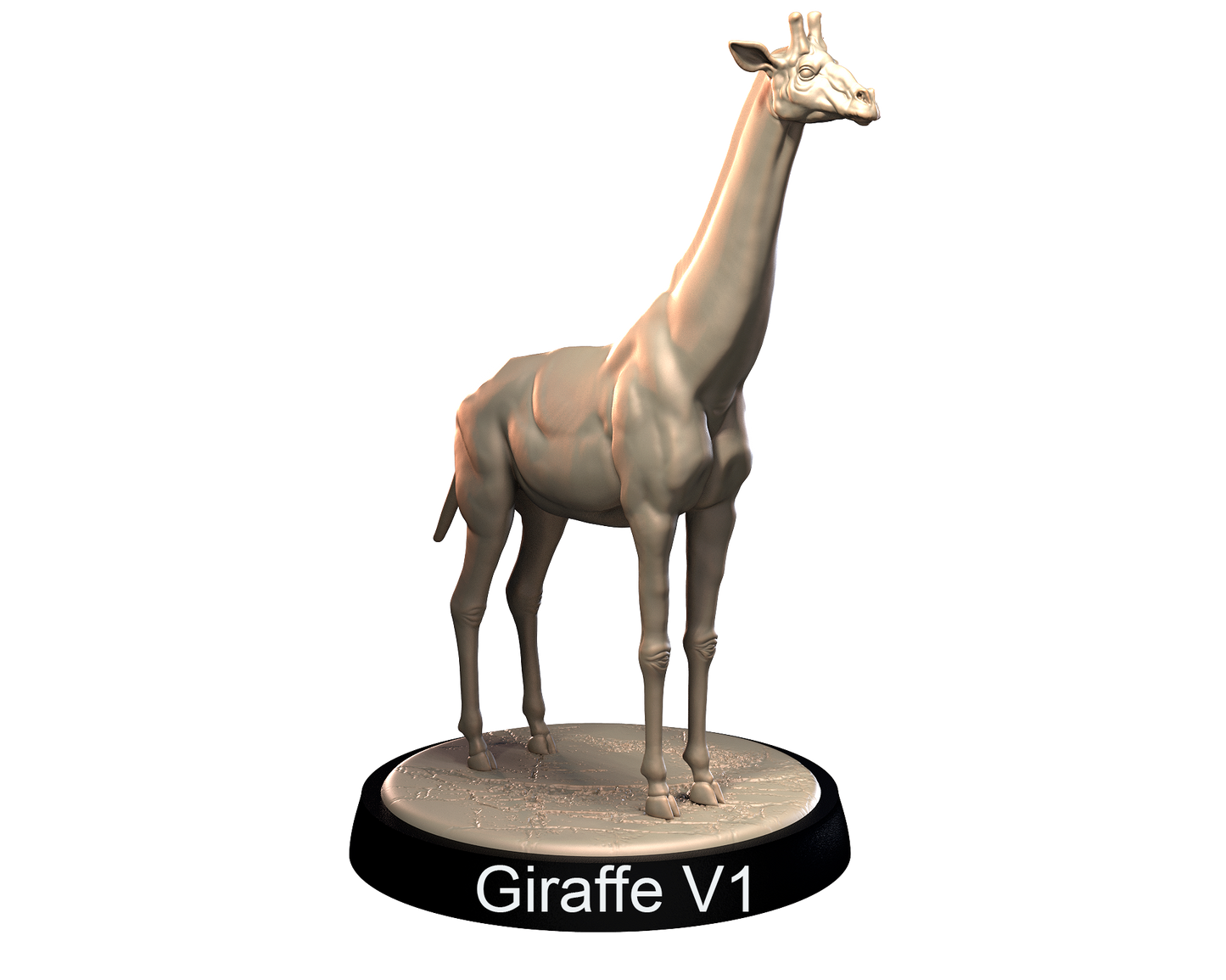Giraffes