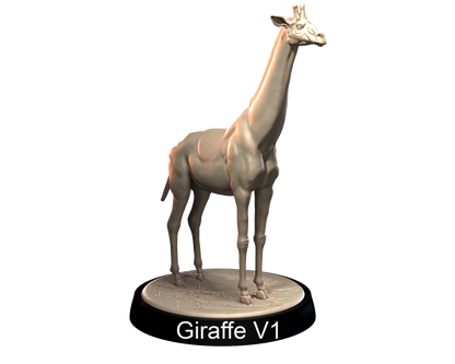 Giraffes