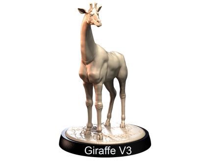 Giraffes