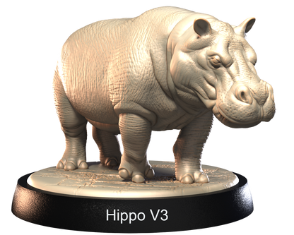 Hippos