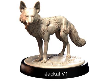 Jackals