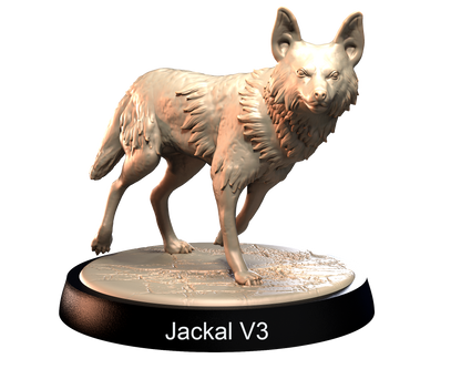 Jackals