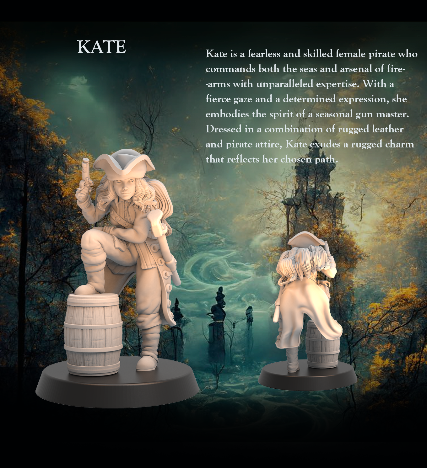 Tabletop Heroes - Kate the Pirate