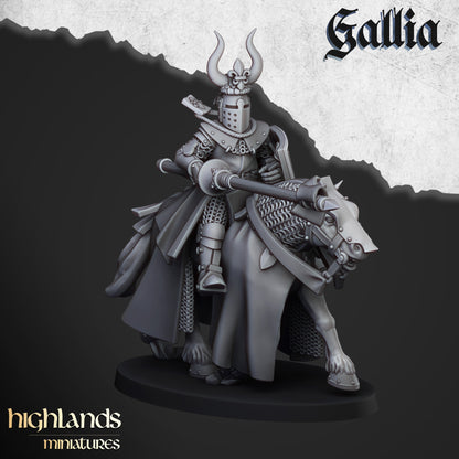 Knights of Gallia with Command