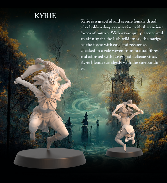 Tabletop Heroes - Kyrie the Druid