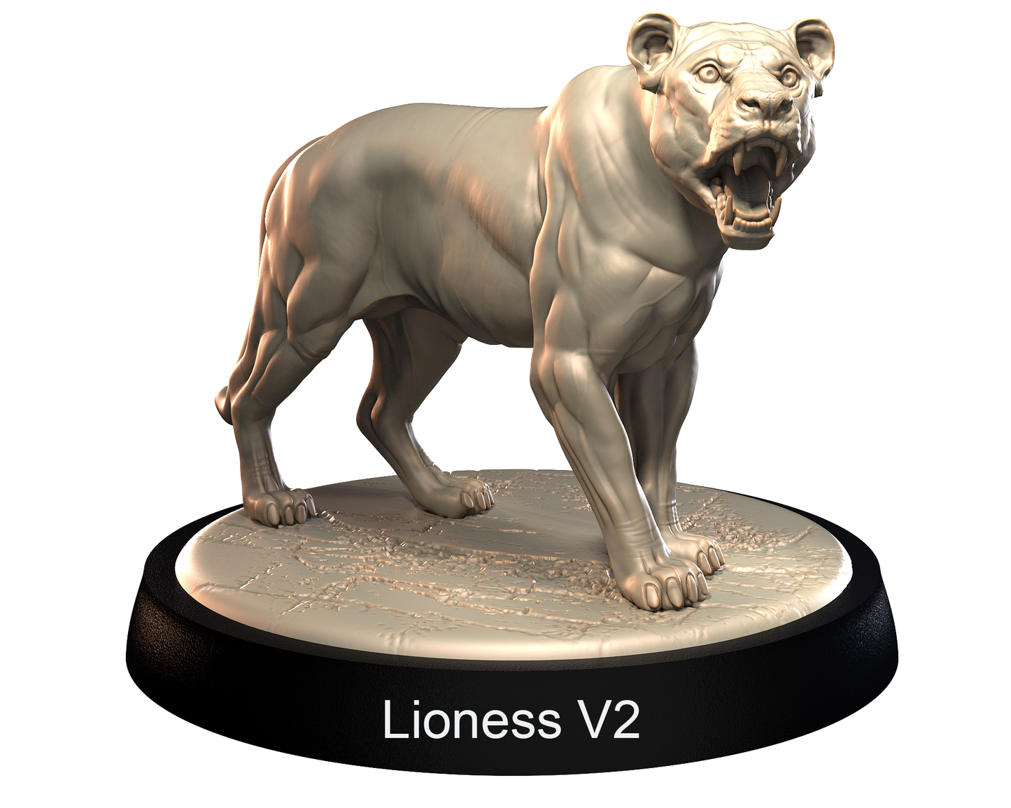 Lionesses