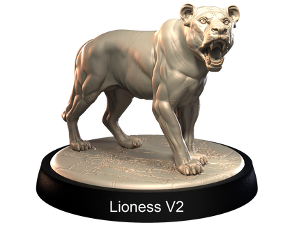 Lionesses