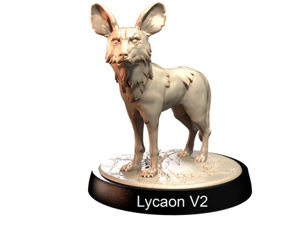 Lycaons