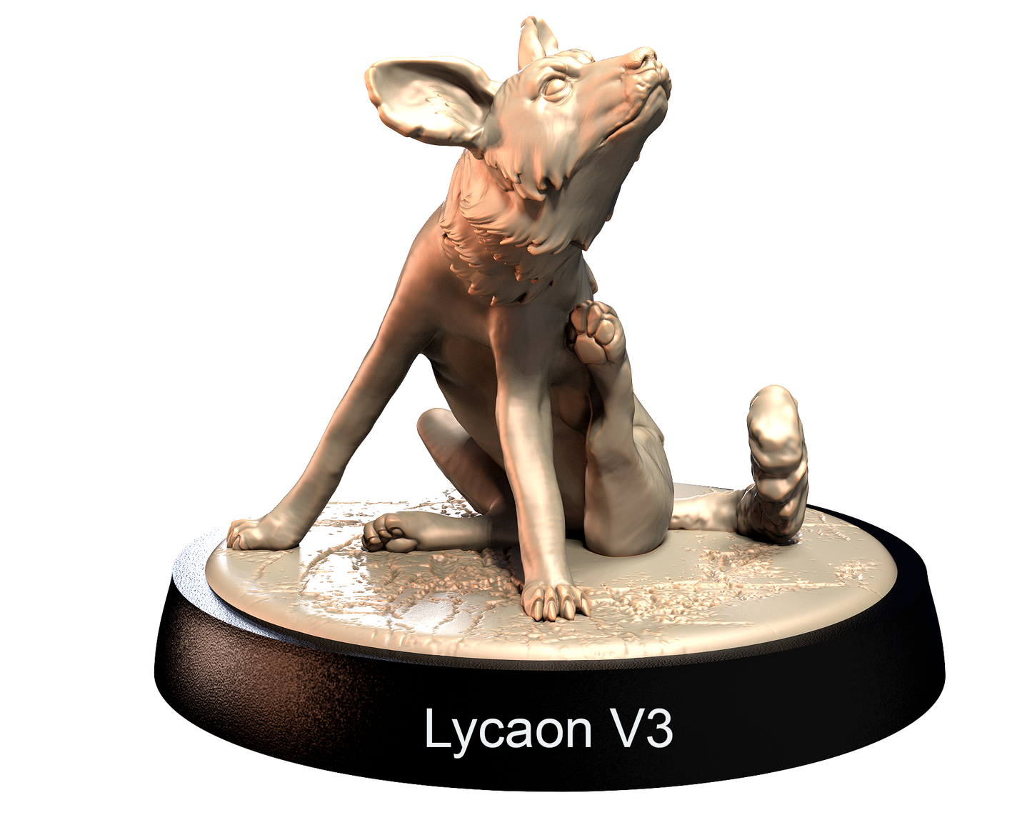 Lycaons