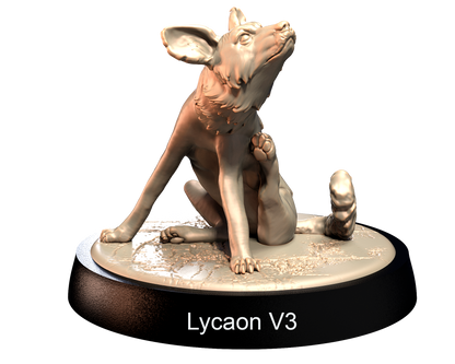 Lycaons