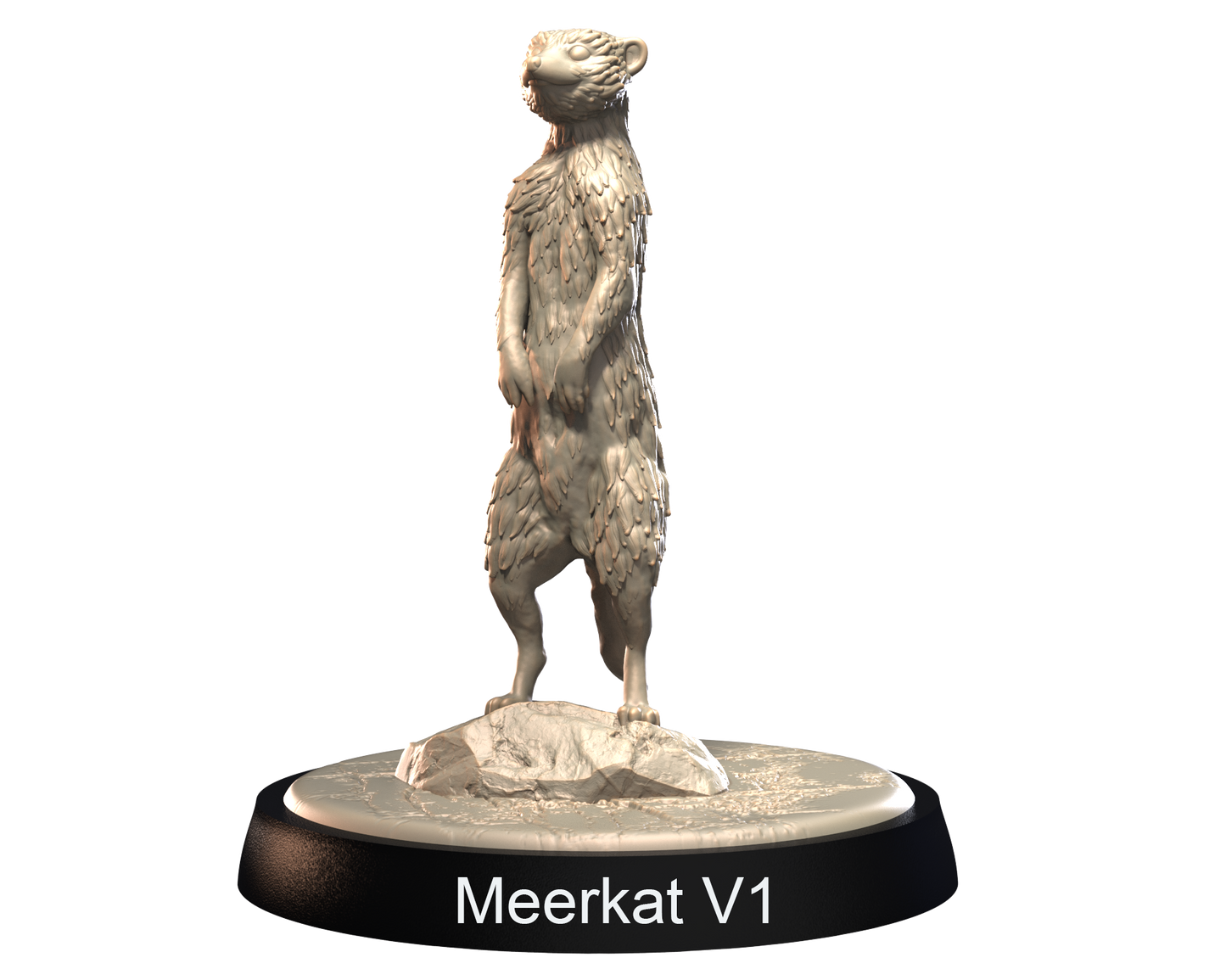 Meerkats