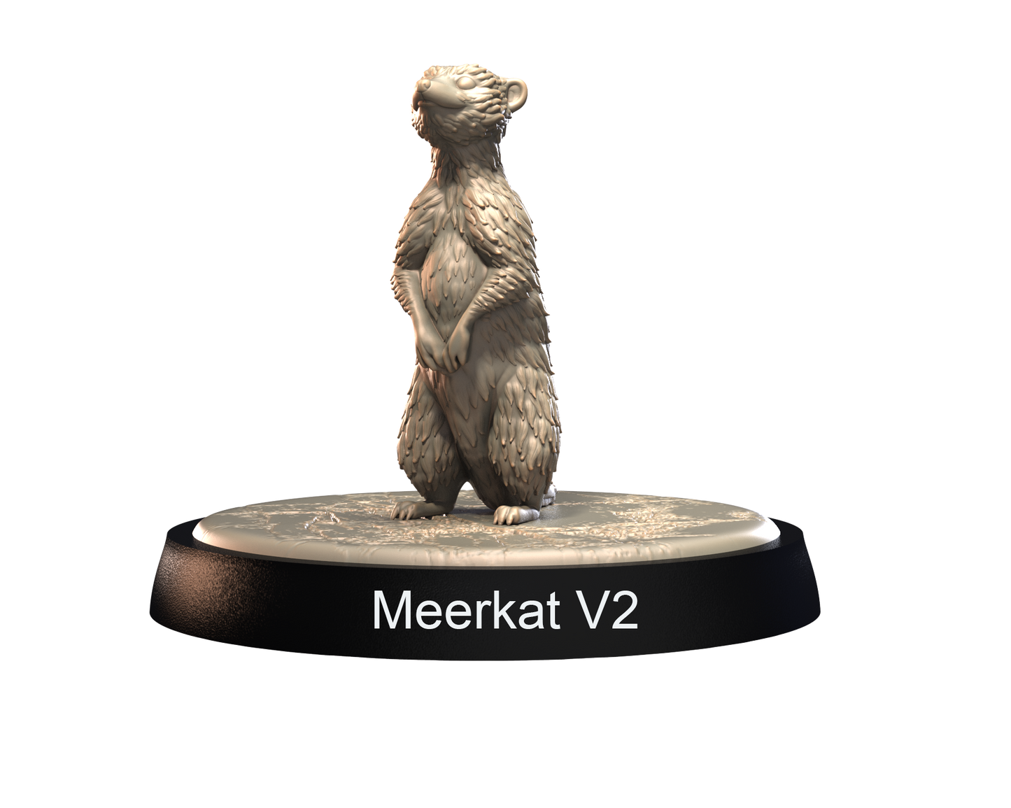 Meerkats